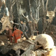 Image for article titled Screen Shots Predator